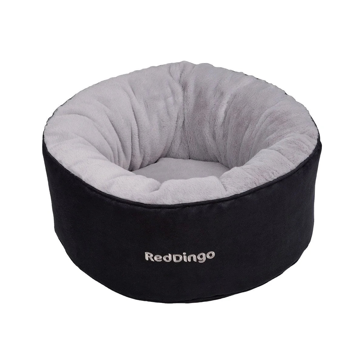 Dog Accessory – Everyday Pet Essential