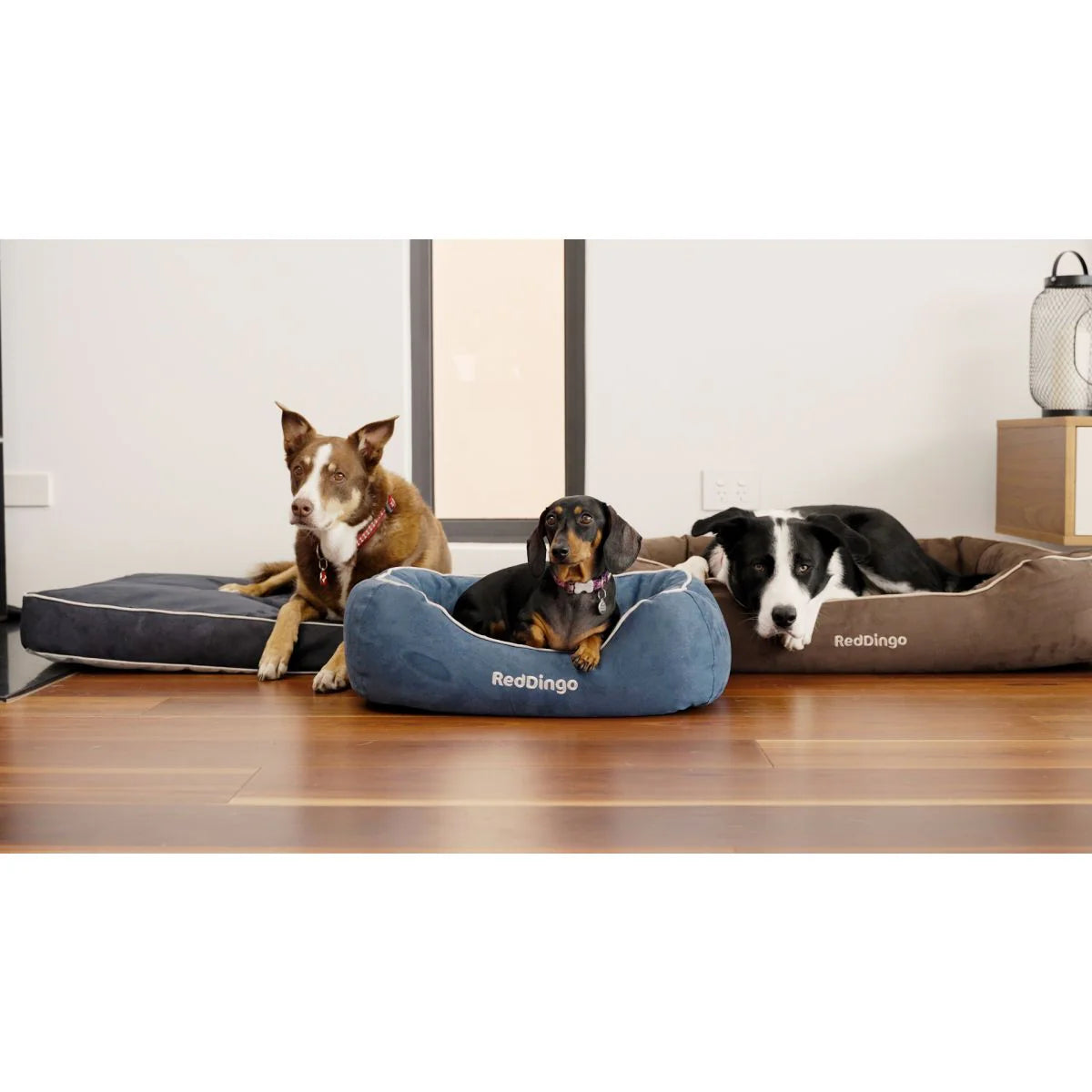 Dog Bed – Comfortable Resting Spot for Dogs