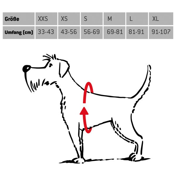 Adjustable Dog Harness – Padded Everyday Walking Harness