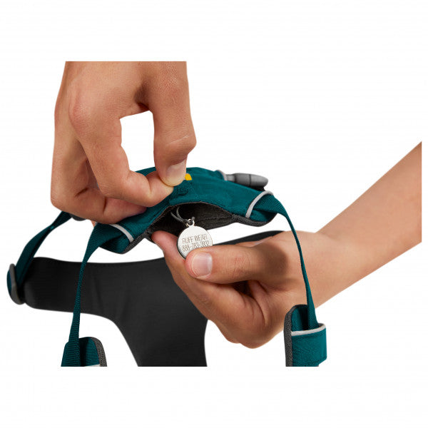 Adjustable Dog Harness – Padded Everyday Walking Harness