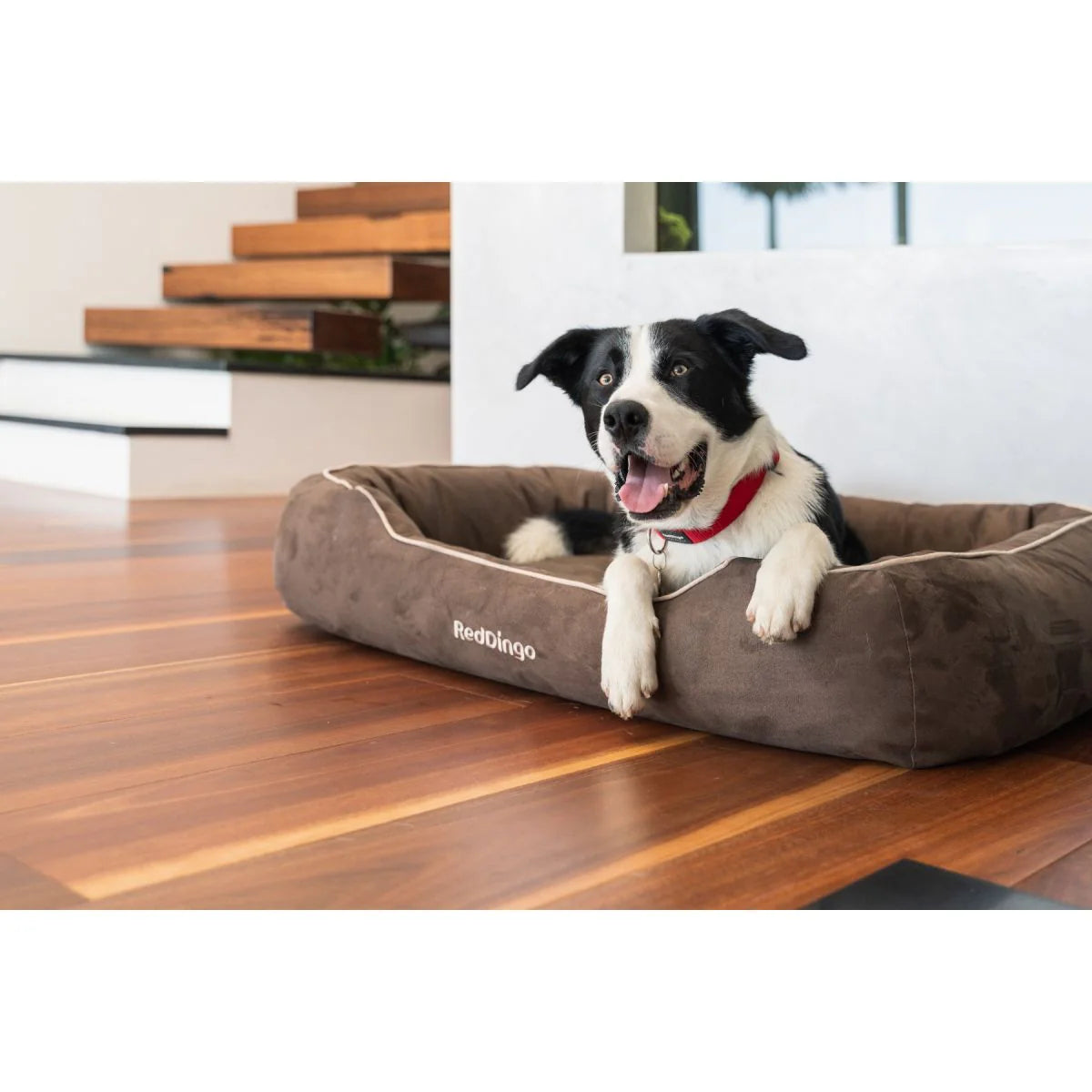 Dog Bed – Comfortable Resting Spot for Dogs