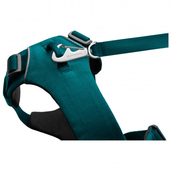 Adjustable Dog Harness – Padded Everyday Walking Harness